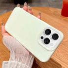 For iPhone 16 Pro Max Jelly Silicone Skin-feel Phone Case(Light Green) - 1