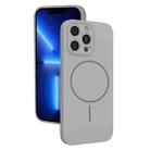 For iPhone 13 Pro Thin Circle MagSafe Fine Hole Liquid Silicone Phone Case(Titanium Grey) - 1