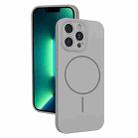 For iPhone 13 Pro Max Thin Circle MagSafe Fine Hole Liquid Silicone Phone Case(Titanium Grey) - 1