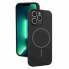 For iPhone 13 Pro Max Thin Circle MagSafe Fine Hole Liquid Silicone Phone Case(Black) - 1