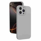 For iPhone 16 Pro Max Fine Hole Liquid Silicone Phone Case(Titanium Grey) - 1
