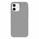 For iPhone 12 Burom Cloud Sensing Ultra-thin Liquid Silicone Full Coverage Phone Case(Fifty Shades of Grey) - 2