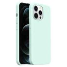 For iPhone 12 Pro Burom Cloud Sensing Ultra-thin Liquid Silicone Full Coverage Phone Case(Mambo Green) - 1
