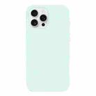 For iPhone 12 Pro Burom Cloud Sensing Ultra-thin Liquid Silicone Full Coverage Phone Case(Mambo Green) - 2