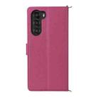 For ZTE nubia S 5G A403ZT Multifunctional 6-Card Slots Leather Phone Case with Wrist Strap(Rose Red) - 3