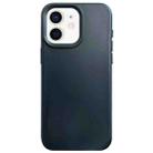 For iPhone 12 Dopamine Simple Imitation Liquid Silicone Phone Case(Black) - 1