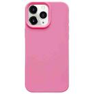 For iPhone 11 Pro Max Dopamine Simple Imitation Liquid Silicone Phone Case(Rose Pink) - 1