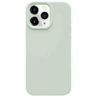 For iPhone 11 Pro Max Dopamine Simple Imitation Liquid Silicone Phone Case(Milk Green) - 1