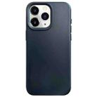 For iPhone 11 Pro Max Dopamine Simple Imitation Liquid Silicone Phone Case(Black) - 1