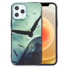 For iPhone 12 mini Painted Pattern Soft TPU Case(Eagle) - 1