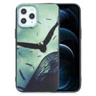 For iPhone 12 Pro Max Painted Pattern Soft TPU Case(Eagle) - 1