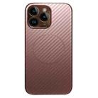 For iPhone 11 Pro Max Plating Carbon Fiber MagSafe Full Coverage Phone Case(Pink) - 1
