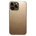 For iPhone 11 Pro Max Plating Carbon Fiber MagSafe Full Coverage Phone Case(Gold) - 1
