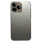 For iPhone 11 Pro Max Plating Carbon Fiber MagSafe Full Coverage Phone Case(Silver) - 1