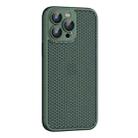 For iPhone 15 Pro Max Cooling Skin Feel PC Phone Case with Lens Film(Alpine Green) - 1