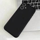For iPhone 12 Fine Hole Insert Card Slot TPU Phone Case(Black) - 1