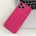 For iPhone 11 Pro Max Fine Hole Insert Card Slot TPU Phone Case(Rose Red) - 1