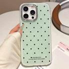 For iPhone 15 Pro Max Glitter Powder Dots Pattern Rhinestone Large Hole Phone Case(Green) - 1