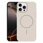 For iPhone 16 Pro Thin Circle PC Injection MagSafe Phone Case(Rock Beige) - 1