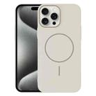 For iPhone 15 Pro Max Thin Circle PC Injection MagSafe Phone Case(Rock Beige) - 1