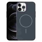 For iPhone 12 Pro Thin Circle PC Injection MagSafe Phone Case(Carbon Grey) - 1