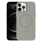 For iPhone 12 Pro Thin Circle PC Injection MagSafe Phone Case(Titanium Gray) - 1