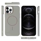 For iPhone 12 Pro Thin Circle PC Injection MagSafe Phone Case(Titanium Gray) - 3