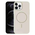For iPhone 12 Pro Thin Circle PC Injection MagSafe Phone Case(Rock Beige) - 1