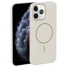 For iPhone 11 Pro Max Thin Circle PC Injection MagSafe Phone Case(Rock Beige) - 2