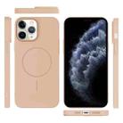 For iPhone 11 Pro Max Thin Circle PC Injection MagSafe Phone Case(Desert Gold) - 3