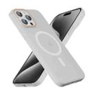 For iPhone 15 Pro Max Translucent Frosted Skin PC MagSafe Phone Case(White) - 3
