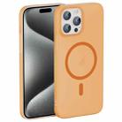 For iPhone 15 Pro Max Translucent Frosted Skin PC MagSafe Phone Case(Orange) - 1