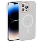 For iPhone 14 Pro Translucent Frosted Skin PC MagSafe Phone Case(White) - 1
