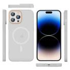 For iPhone 14 Pro Translucent Frosted Skin PC MagSafe Phone Case(White) - 2