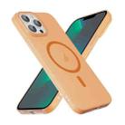 For iPhone 13 Pro Max Translucent Frosted Skin PC MagSafe Phone Case(Orange) - 3