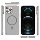 For iPhone 12 Pro Translucent Frosted Skin PC MagSafe Phone Case(Grey) - 2