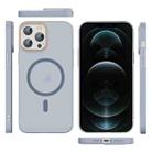 For iPhone 12 Pro Translucent Frosted Skin PC MagSafe Phone Case(Sierra Blue) - 2