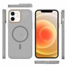 For iPhone 12 Translucent Frosted Skin PC MagSafe Phone Case(Grey) - 2