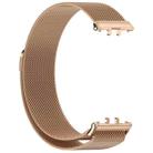 For Samsung Galaxy Fit 3 xDfind Milan Magnetic Stainless Steel Watch Band(Rose Gold) - 2