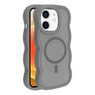 For iPhone 12 / 12 Pro Skin Feel MagSafe Phone Case(Grey) - 1