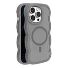 For iPhone 12 Pro Max Skin Feel MagSafe Phone Case(Grey) - 1