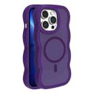 For iPhone 13 Pro Skin Feel MagSafe Phone Case(Purple) - 1