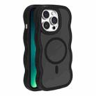 For iPhone 13 Pro Max Skin Feel MagSafe Phone Case(Black) - 1