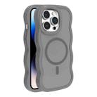 For iPhone 14 Pro Skin Feel MagSafe Phone Case(Grey) - 1