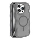 For iPhone 15 Pro Skin Feel MagSafe Phone Case(Grey) - 1