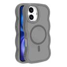 For iPhone 16 Skin Feel MagSafe Phone Case(Grey) - 1