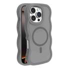 For iPhone 16 Pro Skin Feel MagSafe Phone Case(Grey) - 1