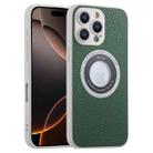 For iPhone 16 Pro Max Glitter Lens MagSafe Magnetic Phone Case(Green) - 1