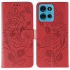 For Motorola Moto G75 5G Rose Butterfly Embossed Leather Phone Case(Red) - 1