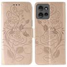 For Motorola Edge 50 Rose Butterfly Embossed Leather Phone Case(Rose Gold) - 1